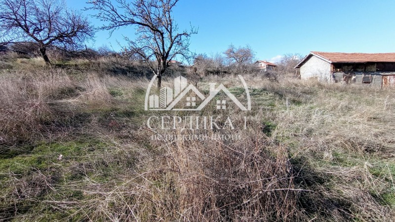 Zu verkaufen  Handlung region Blagoewgrad , Butschino , 997 qm | 13590333 - Bild [3]