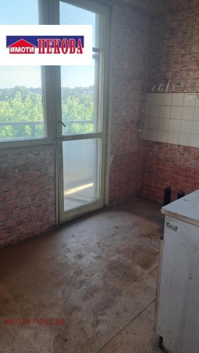 Studio Bononiya, Vidin