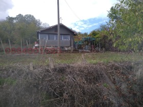   , , .. 