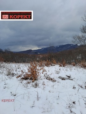 Plott Oresjak, region Lovech